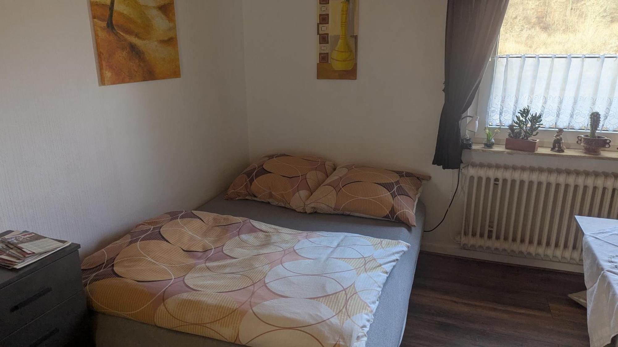 Ferienwohnung Mit Terrasse Fuer 1-4 Personen Altena Exterior photo